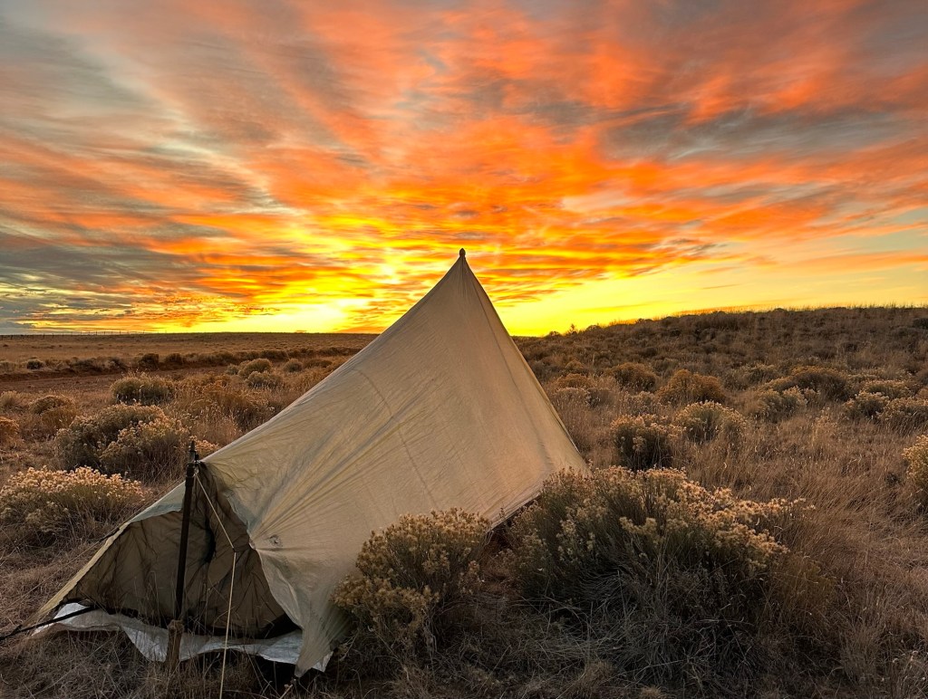 From Long Trails to Life’s Lessons: A Plant-Powered Journey&nbsp;Begins
